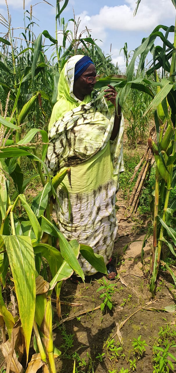 Formation des producteurs